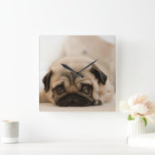 タンの女性パグ スクエア壁時計 (ホーム)