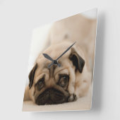 タンの女性パグ スクエア壁時計 (傾斜)