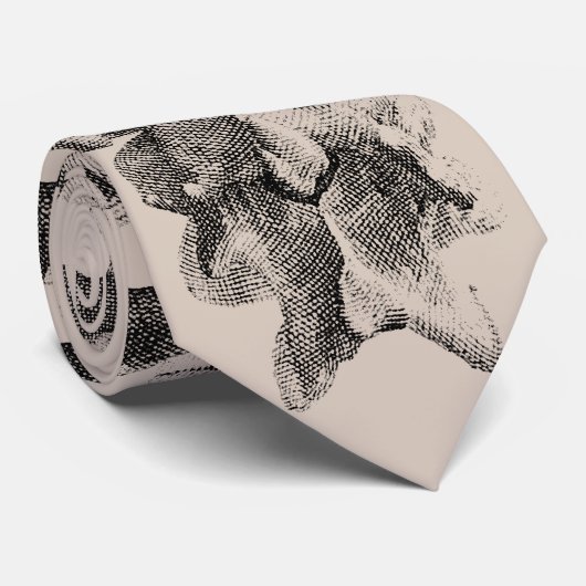 タンの背骨のタイ ネクタイ (ロール)