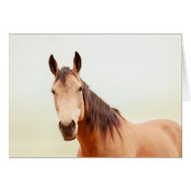 タンの馬は見ます