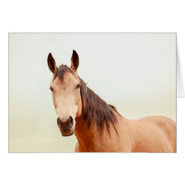 タンの馬は見ます