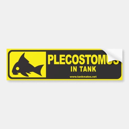 タンクはバンパーステッカーシリーズ1-Plecostomusを合わせます バンパーステッカー (正面)