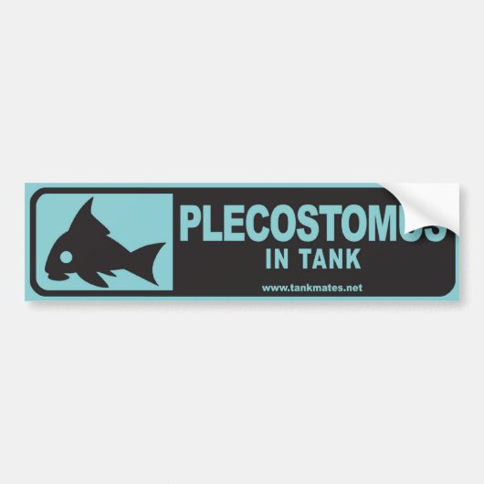 タンクはバンパーステッカーシリーズ1-Plecostomus Bを合わせます バンパーステッカー (正面)
