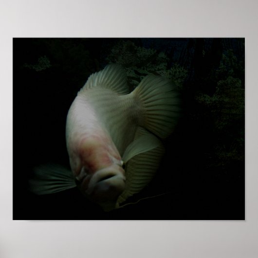 タンク内の魚 ポスター (正面)