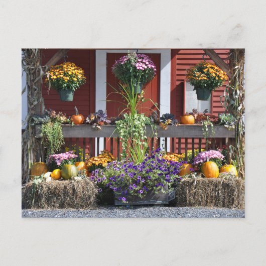 タングルウッド秋美しい – はがき (正面)