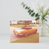 タンゲリンスペエド ポストカード (スタンド正面)