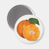 タンゲリン マグネット (正面/裏面)