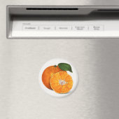 タンゲリン マグネット (インサイチュ (食洗機))