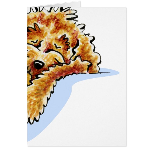 タンコックポードリーム (正面)