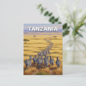 タンザニアおもしろいセレンティ国立公園ゼブラ ポストカード (スタンド正面)
