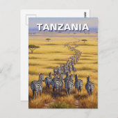 タンザニアおもしろいセレンティ国立公園ゼブラ ポストカード (正面/裏面)