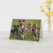 タンザニアのアフリカの野生犬 カード (黄色い花)
