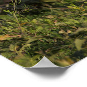 タンザニアのアフリカの野生犬 ポスター (角)