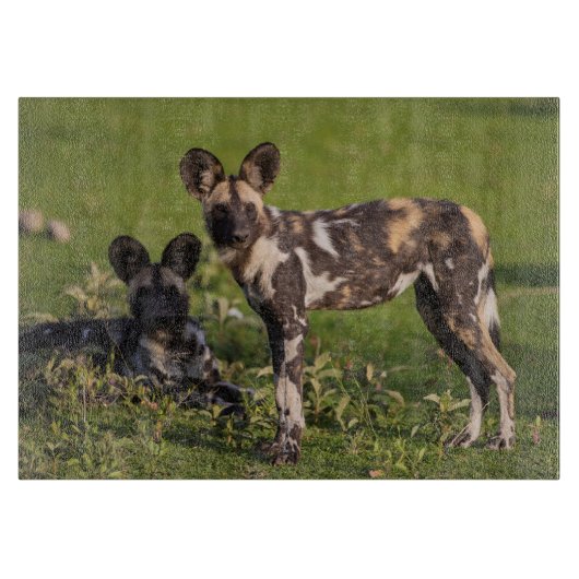 タンザニアのアフリカノロワケ犬 カッティングボード (正面)