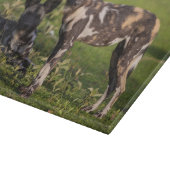 タンザニアのアフリカノロワケ犬 カッティングボード (角)