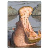 タンザニアのカバのあくび クリップボード (裏面)