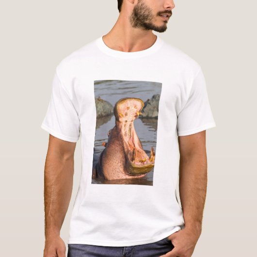 タンザニアのカバのあくび Tシャツ (正面)
