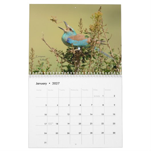 タンザニアのカレンダーの鳥 カレンダー (1月 2027)