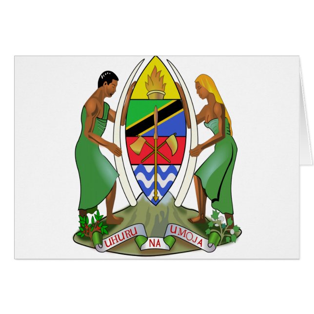 タンザニアの旗 (正面横)