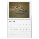 タンザニアの野生の鳥 カレンダー (3月 2026)