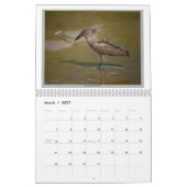 タンザニアの野生の鳥 カレンダー (3月 2027)