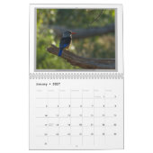 タンザニアの野生の鳥 カレンダー (1月 2027)