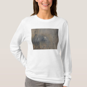 タンザニアのOl Doinyo Langai Tシャツ