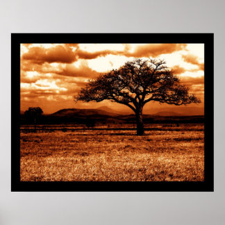 タンザニアサファリ ポスター