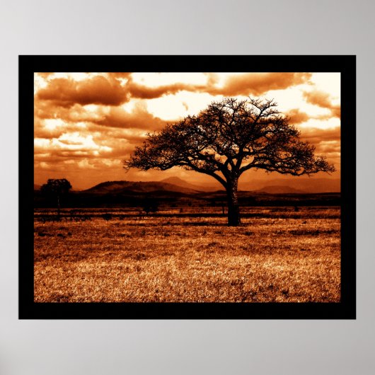 タンザニアサファリ ポスター (正面)