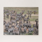 タンザニア国立公園。 ジグソーパズル (横)