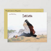 タンザニア産クレイン ポストカード (正面/裏面)