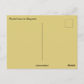 タンザニア産クレイン ポストカード (裏面)