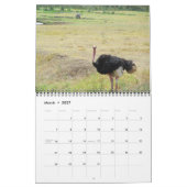 タンザニア2015年 カレンダー (3月 2027)