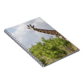 タンザニア、アフリカのサファリで。2 ノートブック (右側)