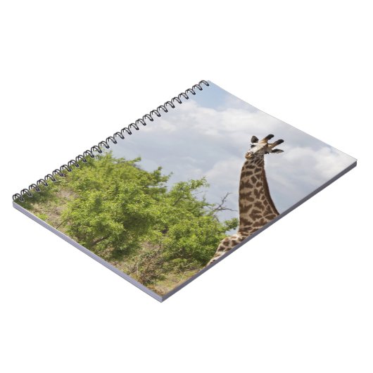 タンザニア、アフリカのサファリで。2 ノートブック (左側)