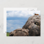 タンザニア・アフリカの大きな岩の上に横たわるライオン ポストカード (正面/裏面)