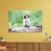 タンザニア、ゴロゴロクレーター。野生のクローズアップ キャンバスプリント (インサイチュ (リビング))