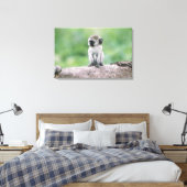 タンザニア、ゴロゴロクレーター。野生のクローズアップ キャンバスプリント (インサイチュ (寝室))