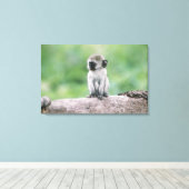 タンザニア、ゴロゴロクレーター。野生のクローズアップ キャンバスプリント (インサイチュ (ウッドフロア))