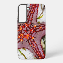 タンザニア、ザンジバルのヒトデ SAMSUNG GALAXY S22+ケース