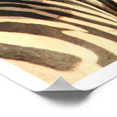 タンザニア，ゼブラ ポスター (角)