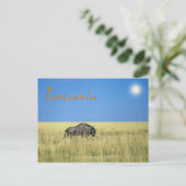 タンザニア ポストカード (スタンド正面)