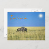 タンザニア ポストカード (正面/裏面)