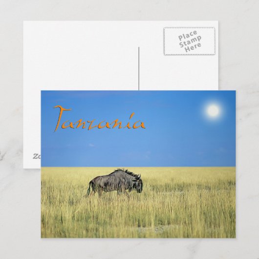 タンザニア ポストカード (正面/裏面)