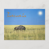 タンザニア ポストカード (正面)