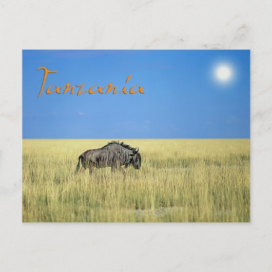 タンザニア ポストカード (正面)