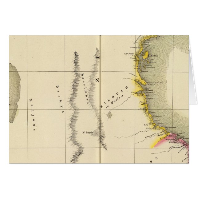 タンザニア、モザンビーク43 (正面横)
