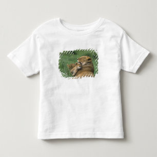 タンザニア、ンゴロンゴロクレーター。アフリカのライオンの母 トドラーTシャツ