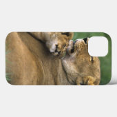 タンザニア、ンゴロンゴロクレーター。アフリカのライオンの母 Case-Mate iPhoneケース (裏面 (横))