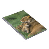 タンザニア、Ngorongoroクレーター。アフリカライオンの母親 ノートブック (右側)